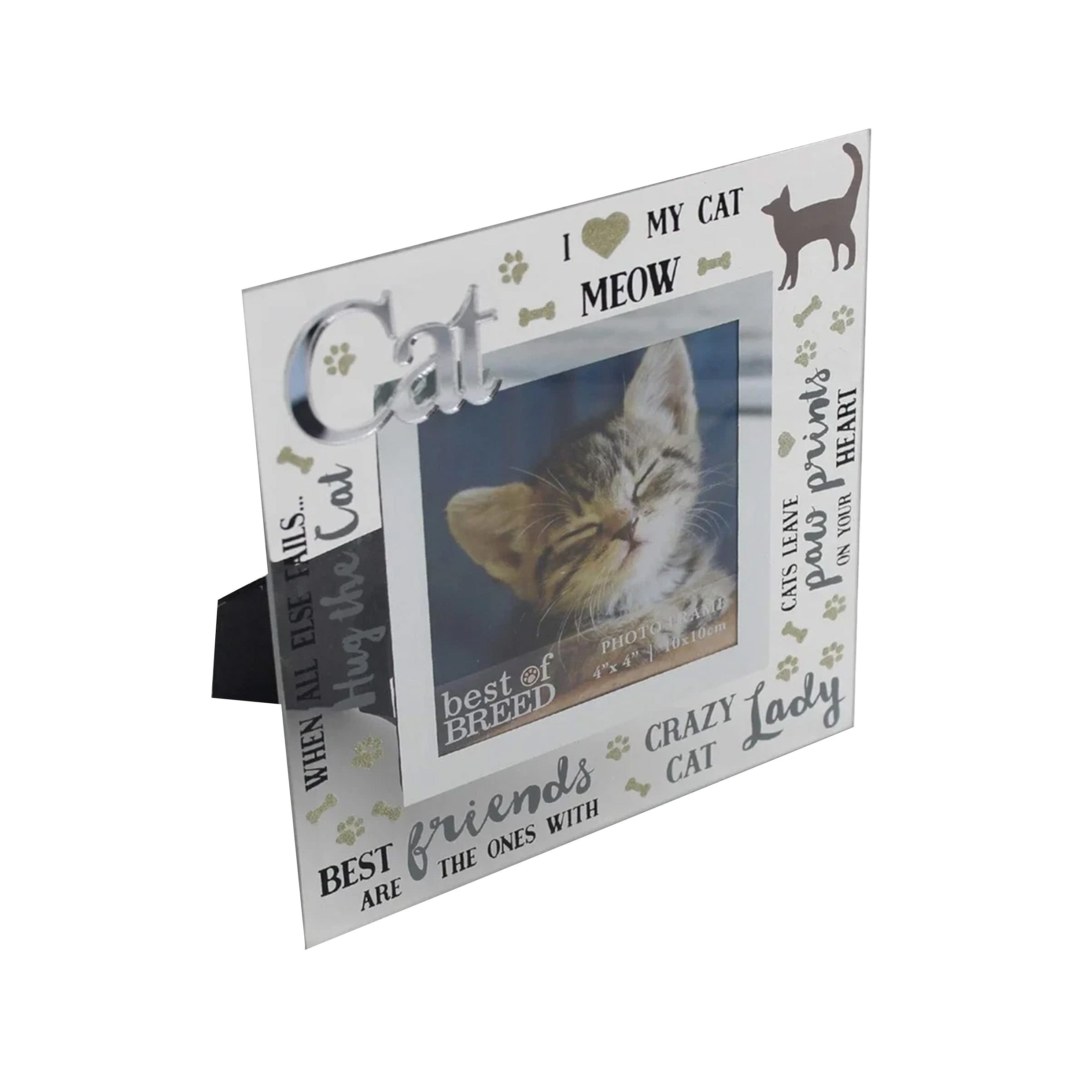 Best Of Breed Glass cat Photo Frame 4"x 4" RRP £6.99 Our Price £1