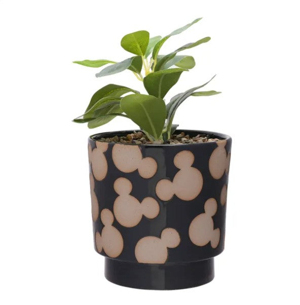 Disney - Mickey Mouse Ceramic Planter and Plant RRP £22 Our Price £10