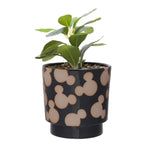 Disney - Mickey Mouse Ceramic Planter and Plant RRP £22 Our Price £10