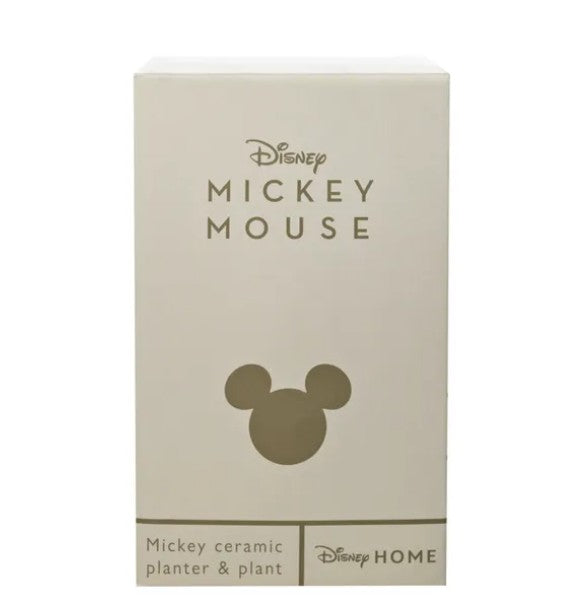 Disney - Mickey Mouse Ceramic Planter and Plant RRP £22 Our Price £10