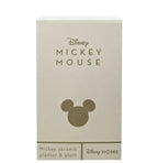 Disney - Mickey Mouse Ceramic Planter and Plant RRP £22 Our Price £10