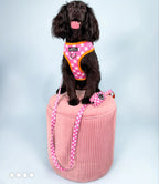 PAWSOME PAWS BOUTIQUE FLOWER COLLECTION