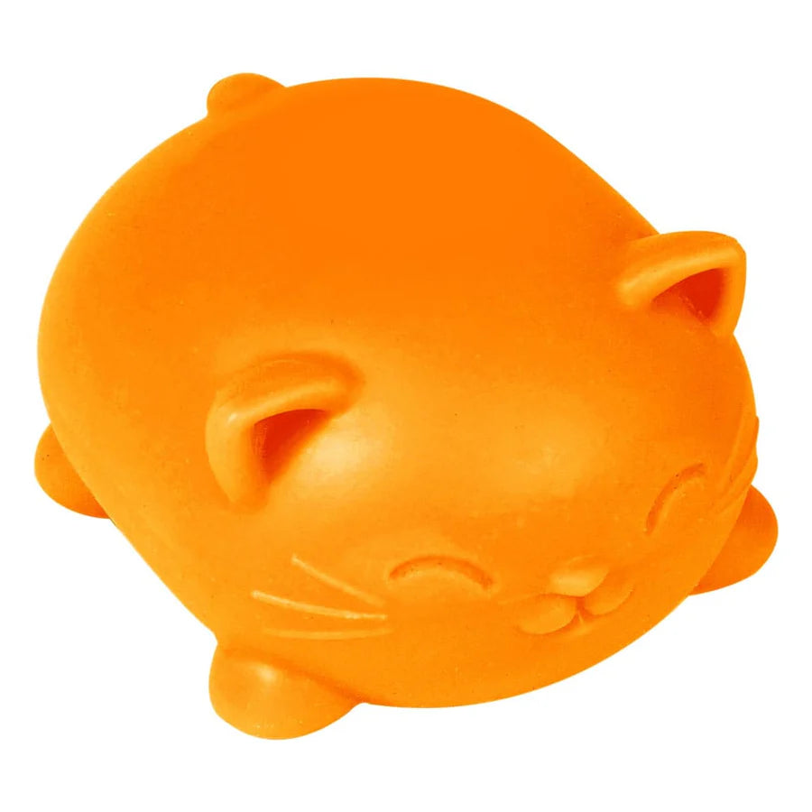NeeDoh Cool Cats (Colour May Vary)