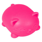 NeeDoh Cool Cats (Colour May Vary)