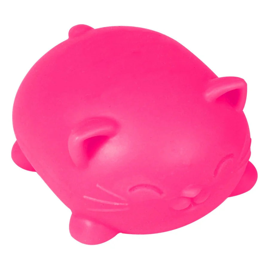 NeeDoh Cool Cats (Colour May Vary)