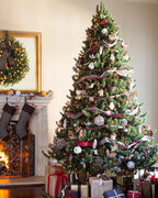Snowtime 7ft Hazen Slim Blue Pine Pre-Lit Artificial Christmas Tree – 300 Warm White LEDs