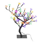 Cherry Blossom Outdoor Tree